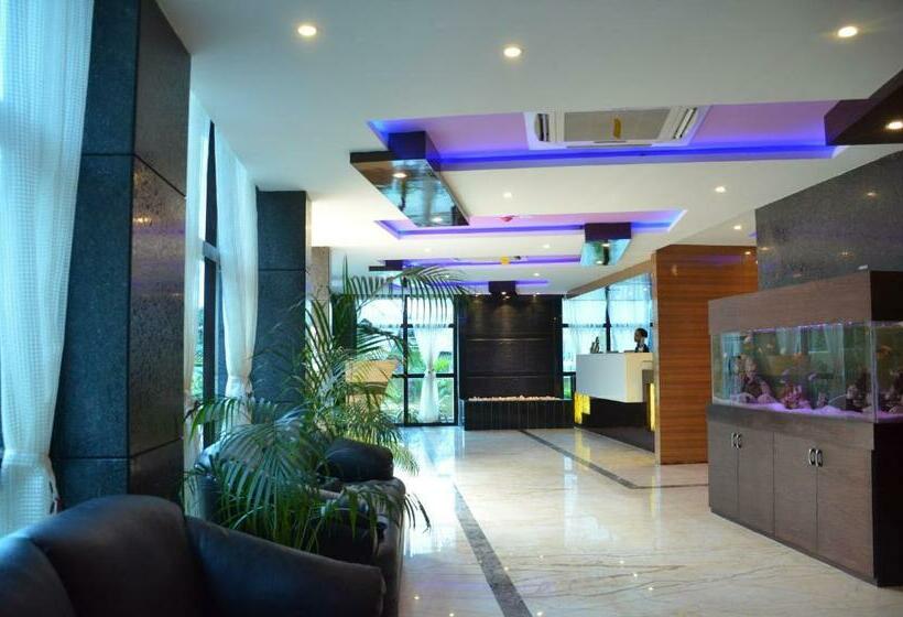 בית מלון כפרי Dolphin Chocolate Inn