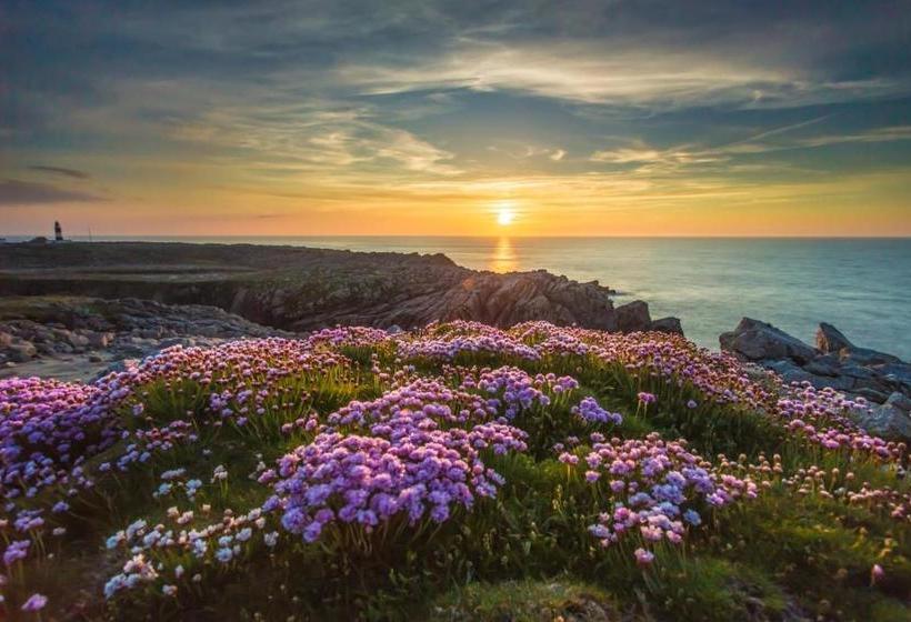 酒店 Ostán Oileán Thoraí Tory Island