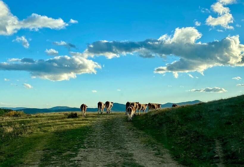 بنسيون Alunis Retreat