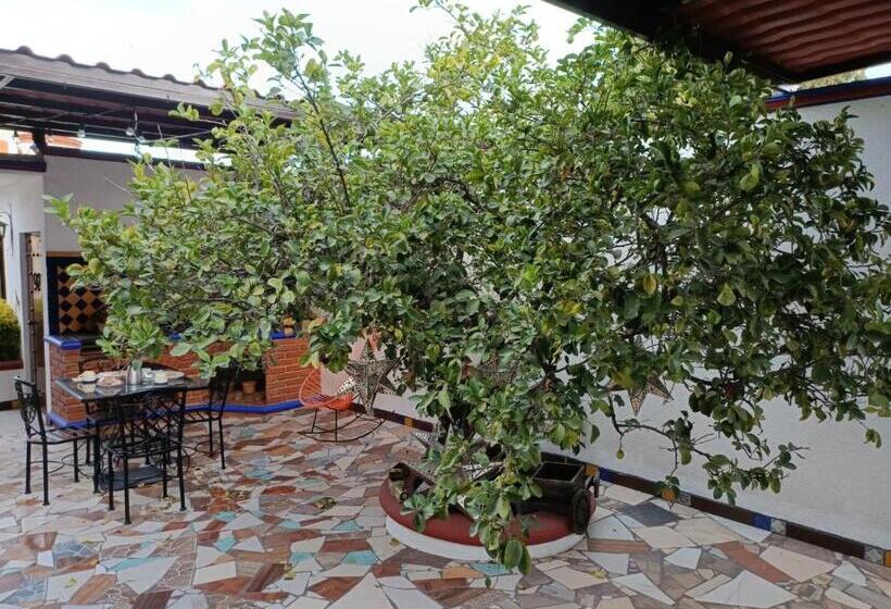 بنسيون Casa Limon