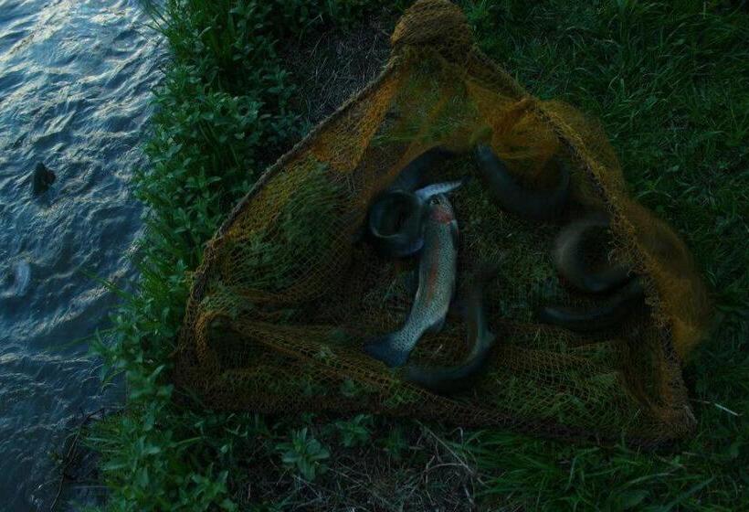 פנסיון Casa Ott