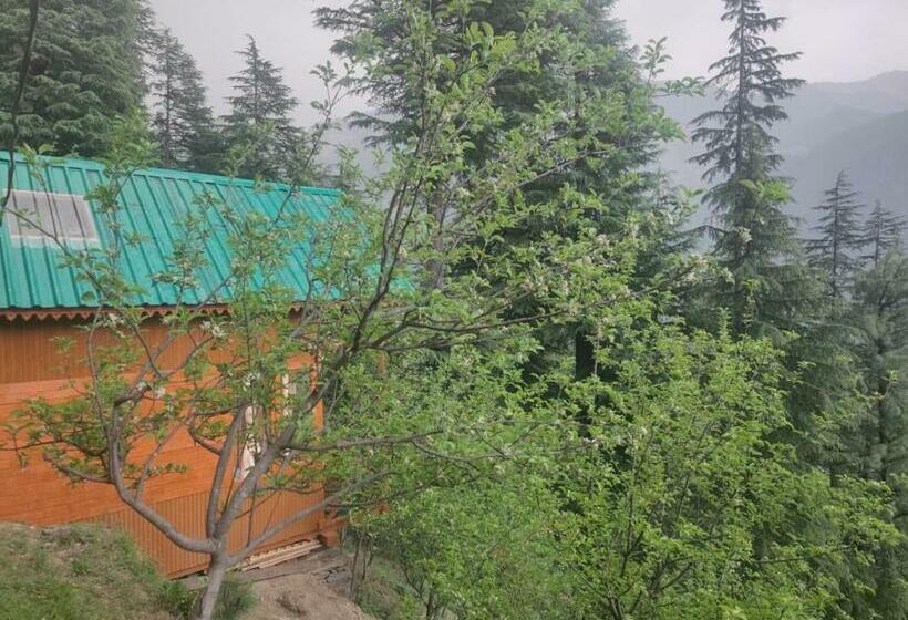 膳宿费 Freebird Nest Jibhi