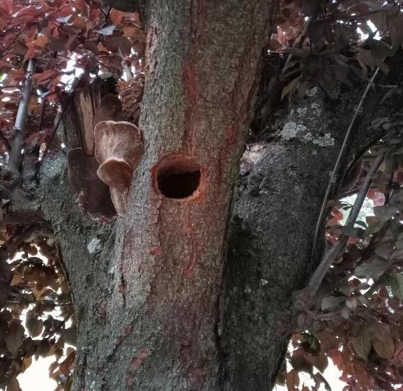 Пансион Larrion Hostal Ostatua