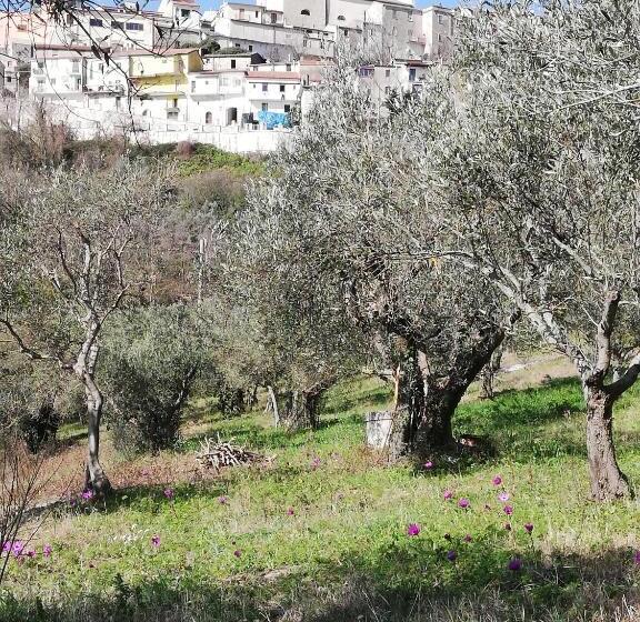 بنسيون Le Coste Affittacamere