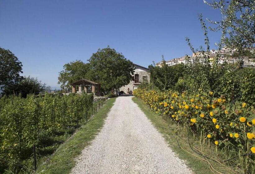 Пансион Le Coste Affittacamere