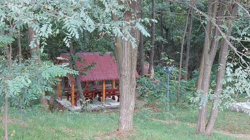 פנסיון Popasul Din Lunca