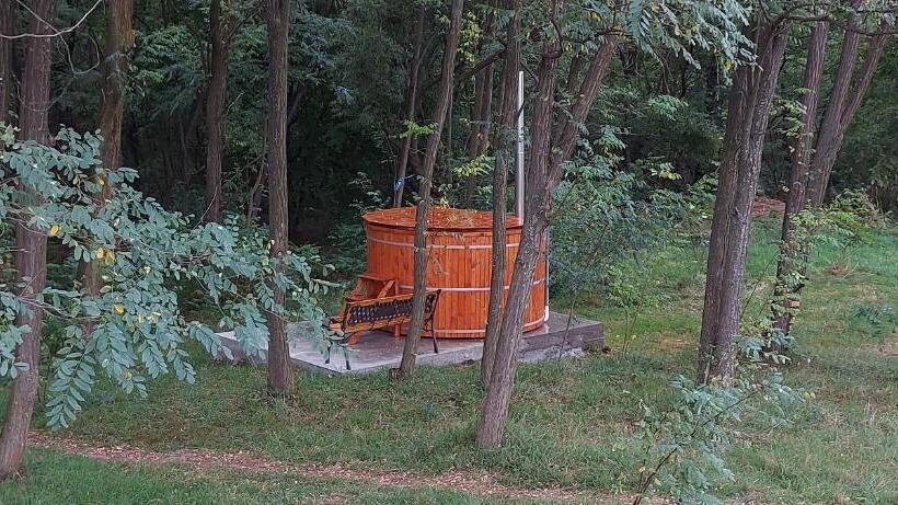 פנסיון Popasul Din Lunca