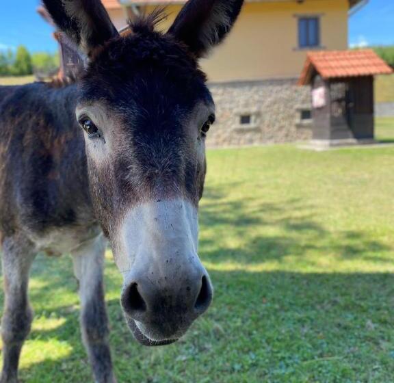 Пансион Villa Gherman