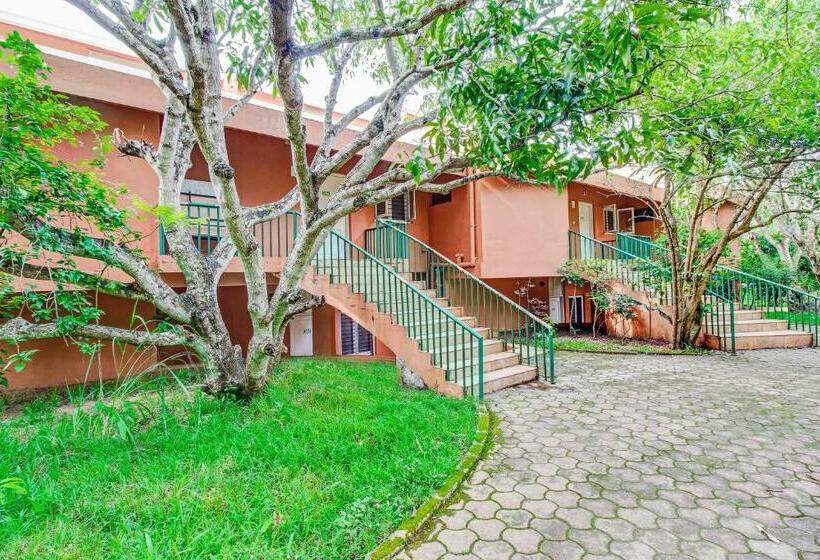 渡假胜地  Jlr Kings Sanctuary Jungle Lodges