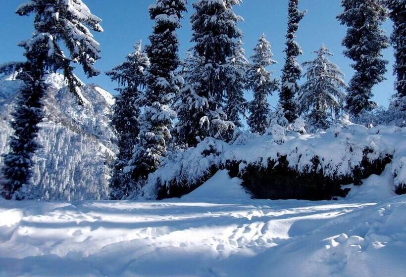 منتجع The Mother S Riverfront