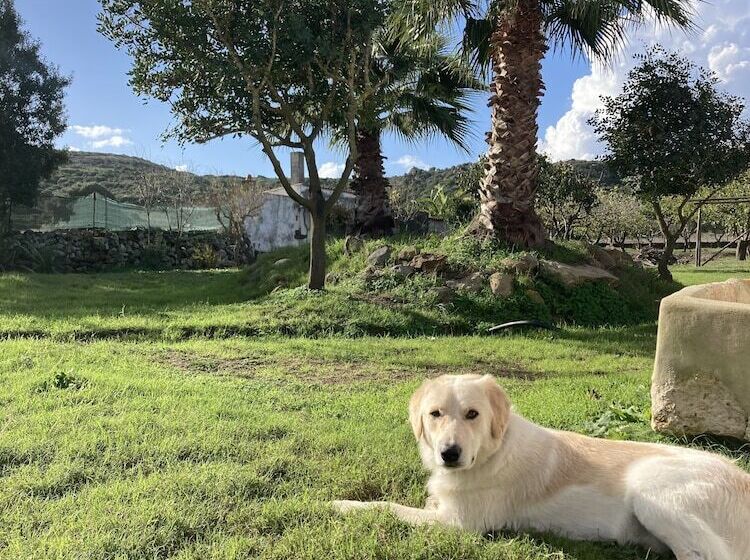 Tenuta Blancamar Country Bed & Breakfast