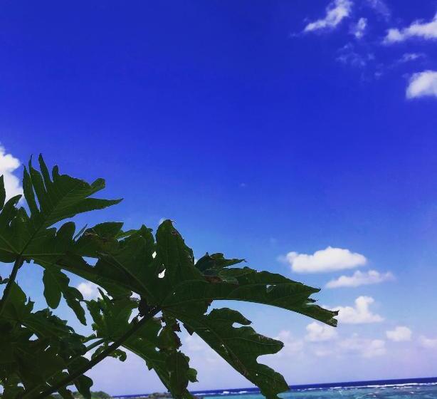 Albergue みーまん奄美