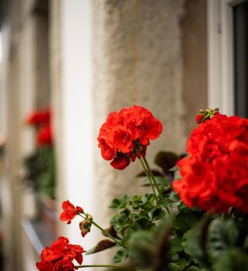 ユースホステル Gasthof Alte Schmiede G Luckendorf