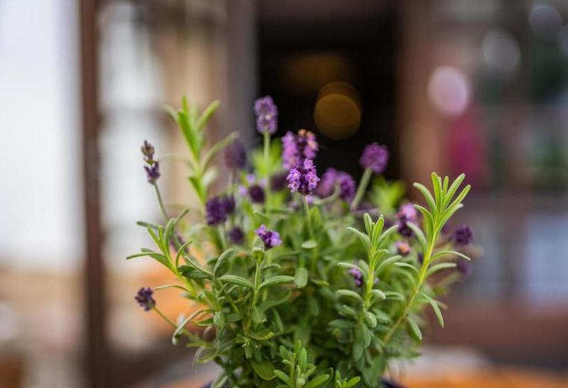 Общежитие Gasthof Alte Schmiede G Luckendorf