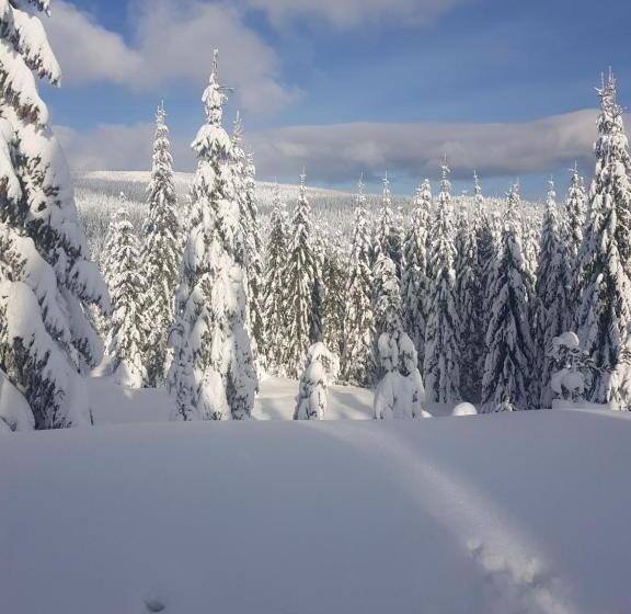 Общежитие Gasthof Alte Schmiede G Luckendorf