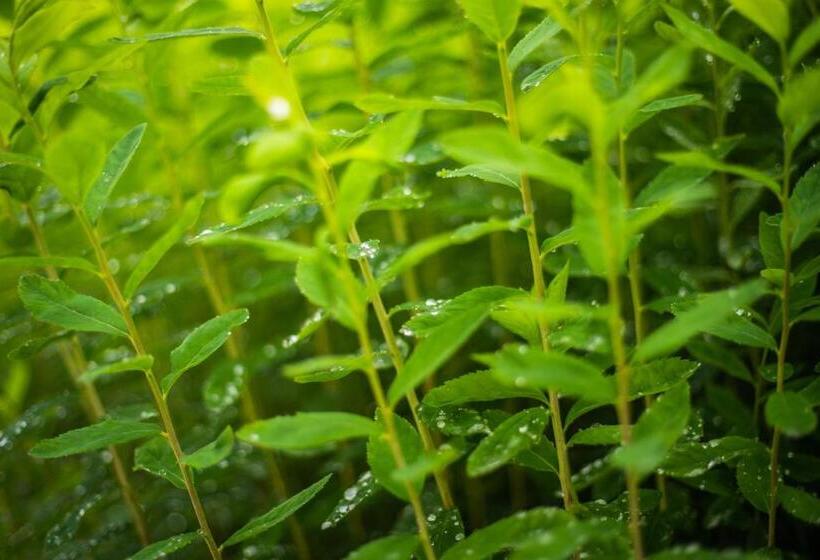 Общежитие Gasthof Alte Schmiede G Luckendorf