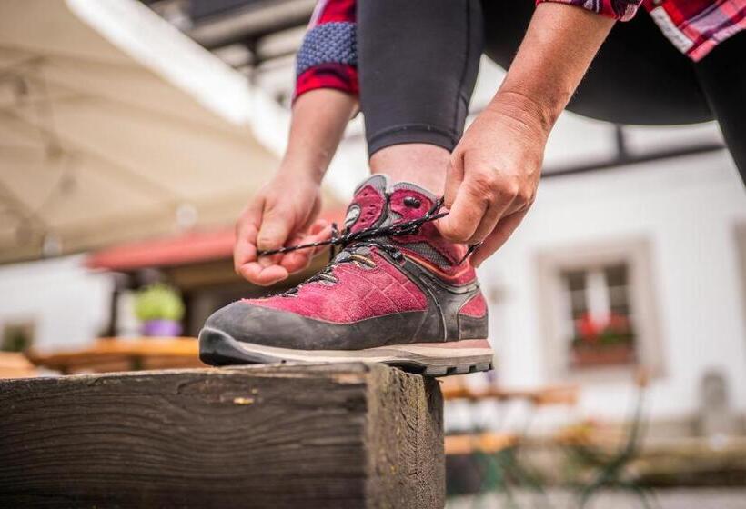 Общежитие Gasthof Alte Schmiede G Luckendorf