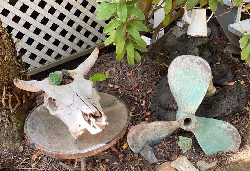 호스텔 Smiley S Saloon &