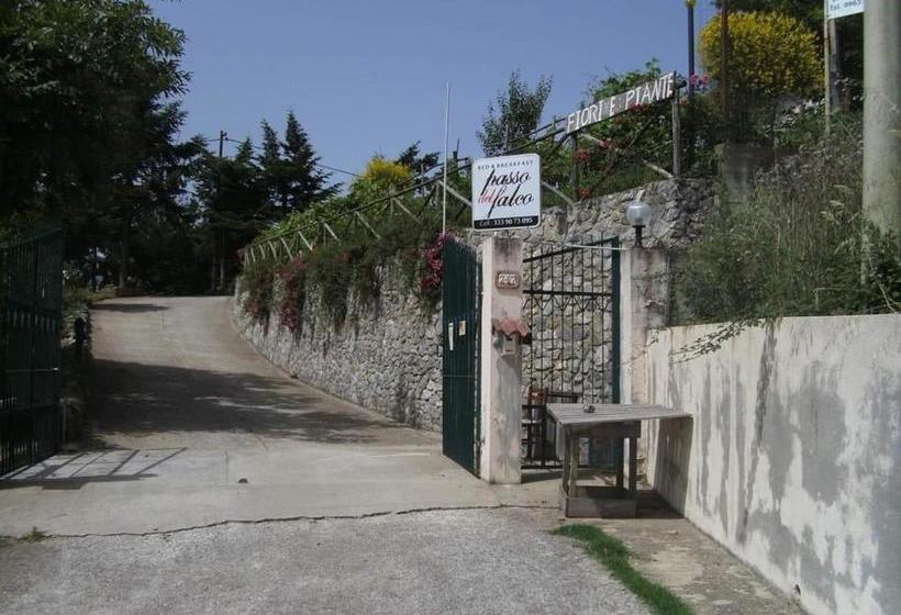 B&b Passo Del Falco