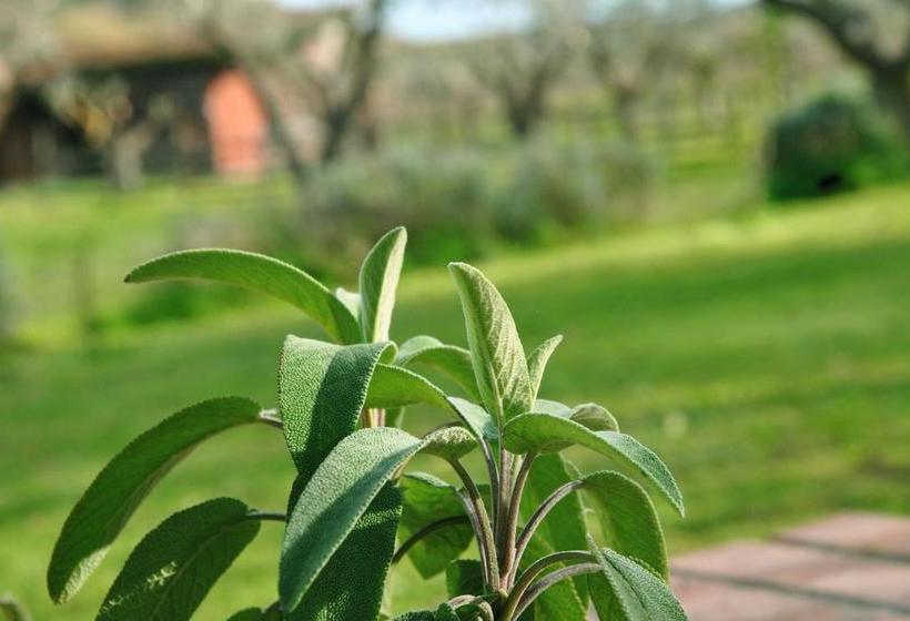 민박 Agriturismo La Mandragola Relais