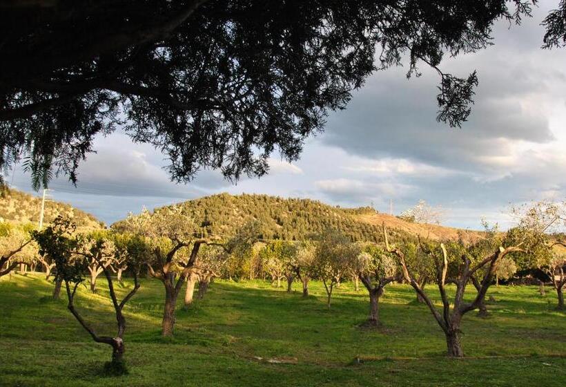 مبيت وإفطار Agriturismo La Mandragola Relais