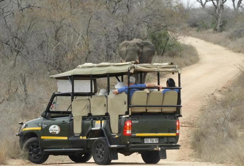 צימר Bongan Safari Lodge