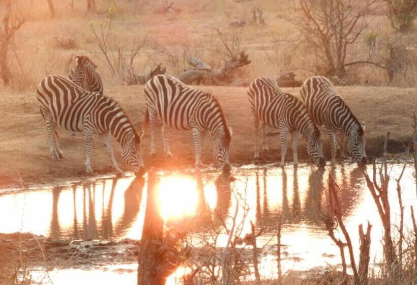 צימר Bongan Safari Lodge
