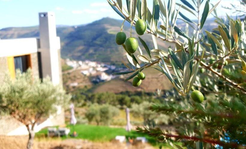 住宿加早餐  Casa Do Arco By Douro Exclusive