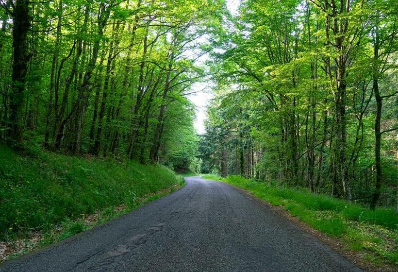 住宿加早餐 Ce Petit Chemin