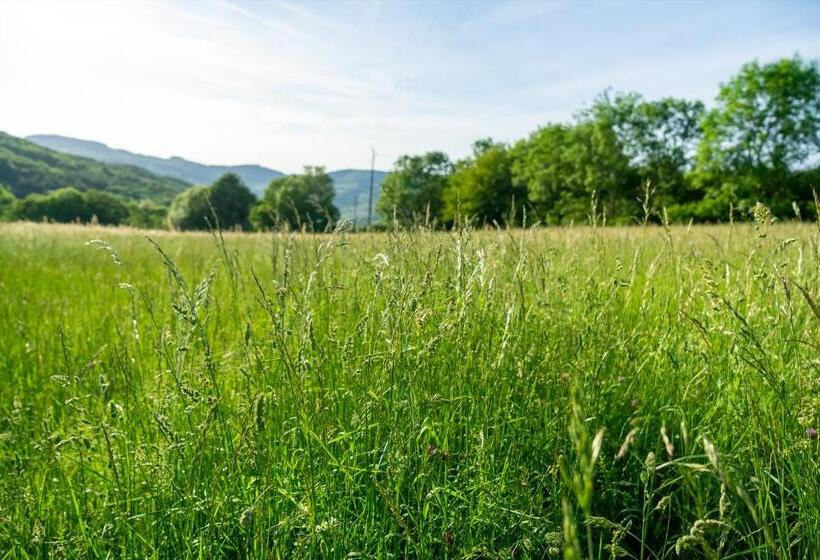 住宿加早餐 Ce Petit Chemin