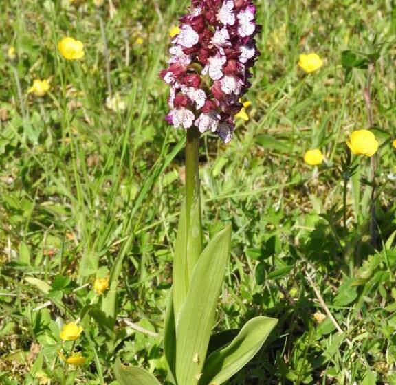 住宿加早餐  La Dame Fines