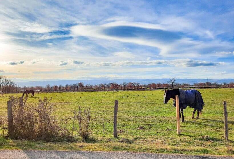 민박 Le Cottage Du Parc