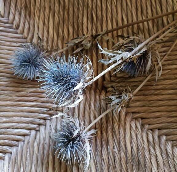 住宿加早餐  Villa Rustico