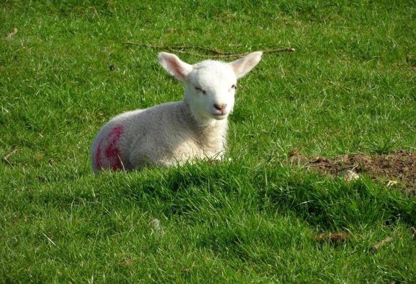 Carlton Corner Bed & Breakfast