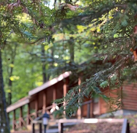 호텔 база відпочинку шиповець