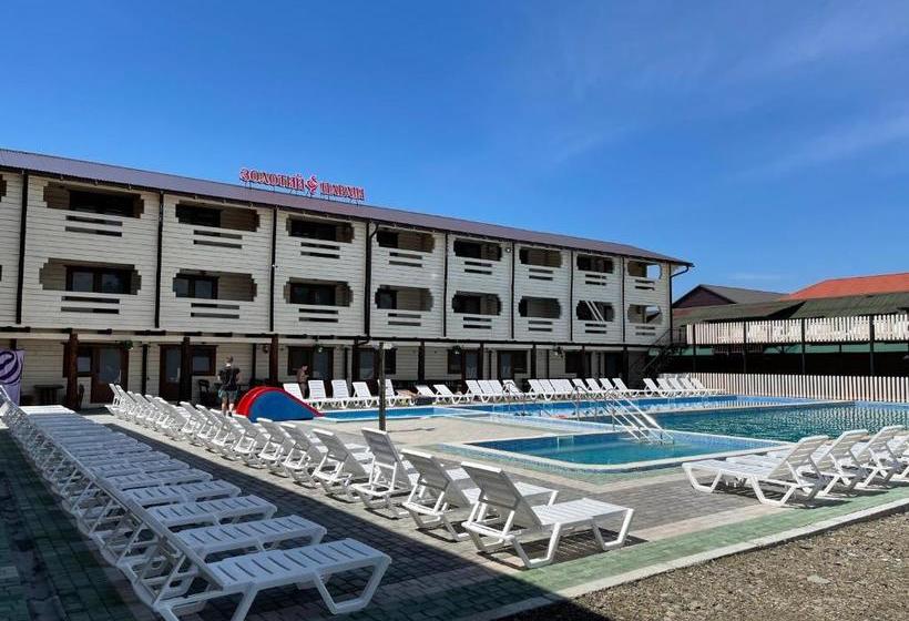 Otel золотий павлін