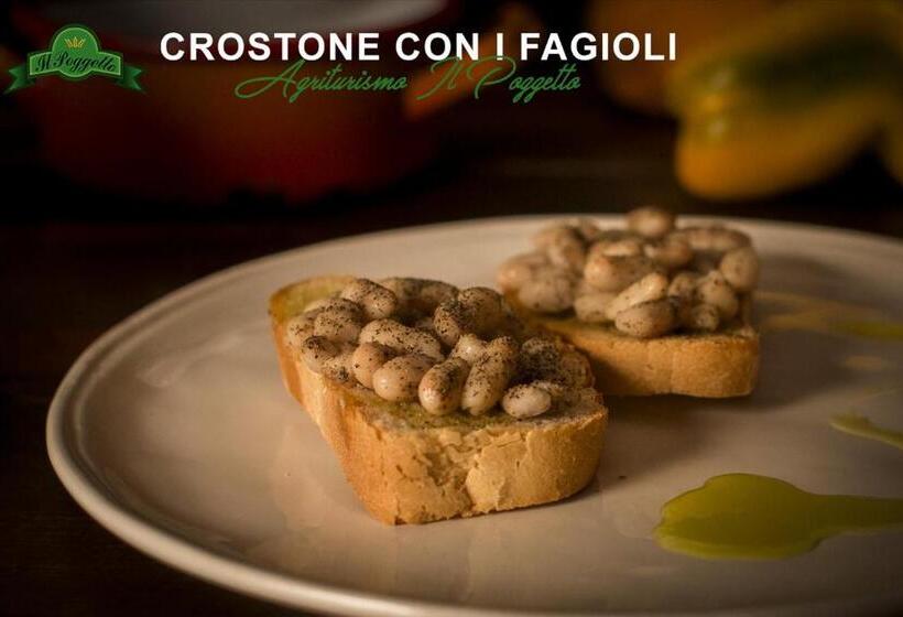 בית מלון כפרי Agriturismo Il Poggetto