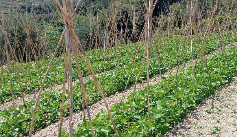 فندق Agriturismo Vecchio Frantoio