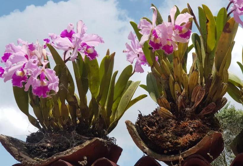 Отель Atha Ka I Ecofinca