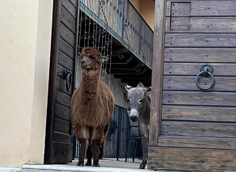 هتل Borgo Incantato Spoleto