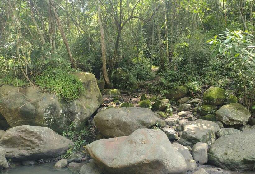 Отель Villa Falian Nido Colibrí