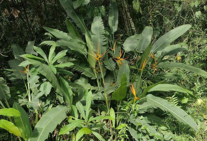 Отель Villa Falian Nido Colibrí