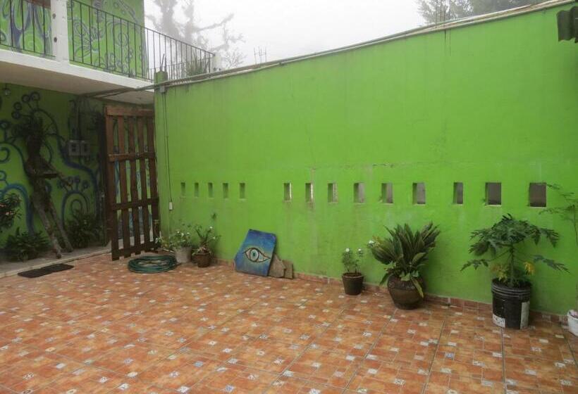 ホテル Casa Verde Xilitla By Rotamundos