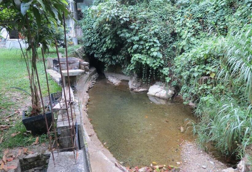 ホテル Casa Verde Xilitla By Rotamundos