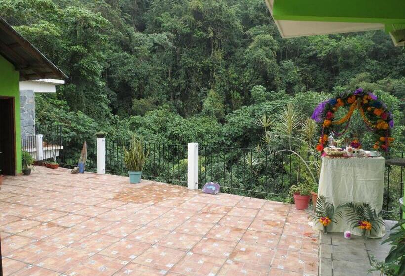 ホテル Casa Verde Xilitla By Rotamundos