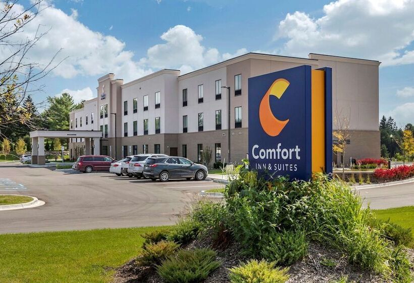 Отель Comfort Inn & Suites