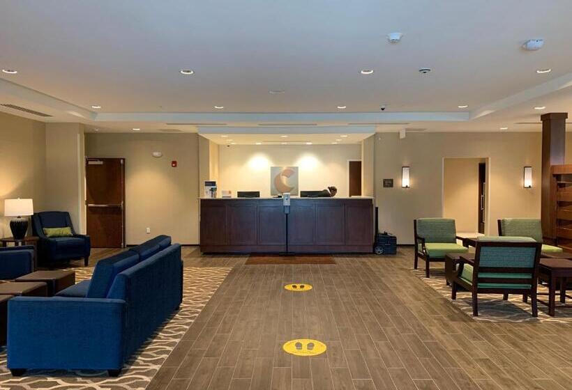 Отель Comfort Inn & Suites