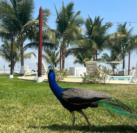 هتل Hacienda Guamito