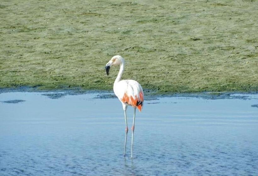 هتل Hacienda Guamito