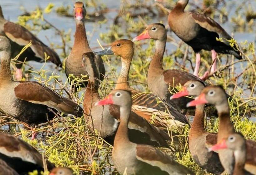 هتل Hacienda Guamito